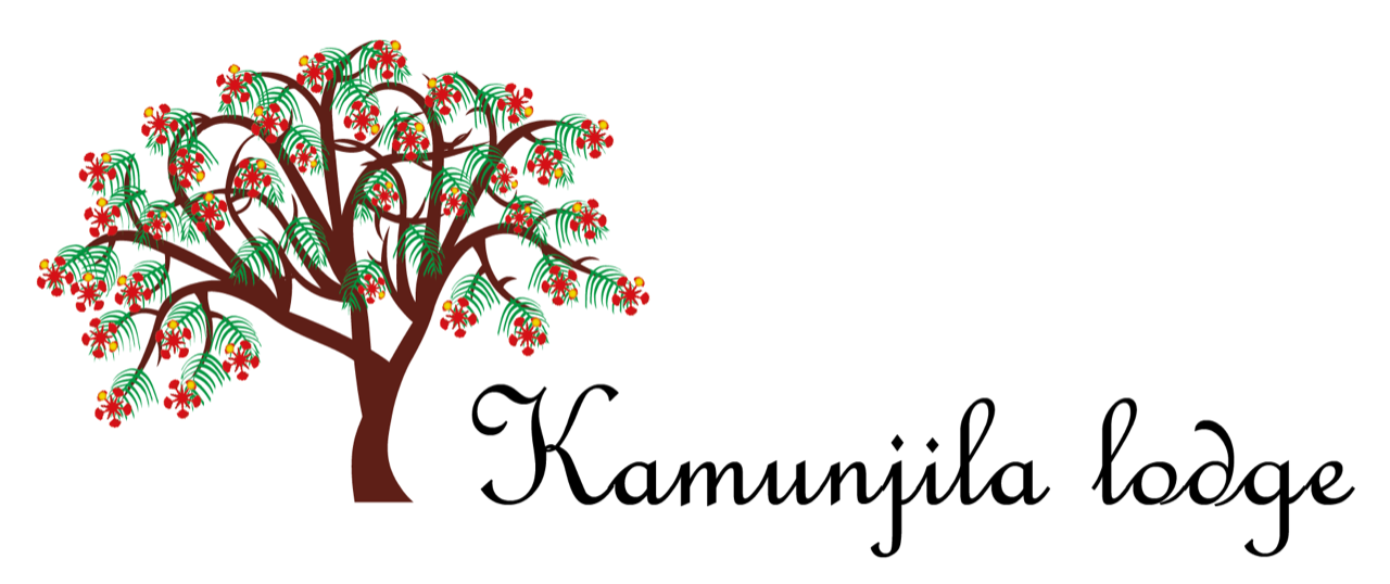 Accommodation in Livinsgtone Town - Kamunjila Lodge Zambia